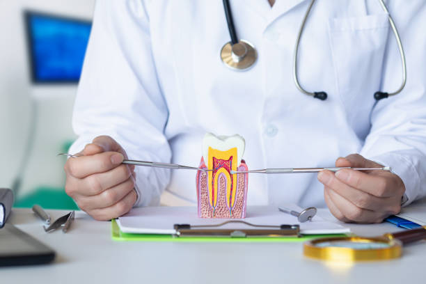 Best Cosmetic Emergency Dentistry in Burnt Mills, MD